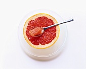 Half a pink grapefruit with spoon