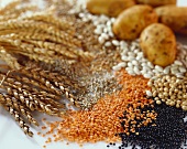 Cereals, pulses and potatoes