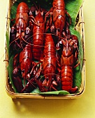 Cooked freshwater crayfish