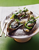 Poached oysters on bed of salt