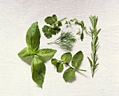 Various culinary herbs