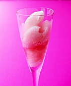 Pink champagne sorbet in glass