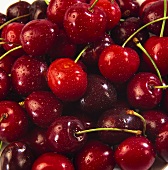 Fresh cherries (filling the picture)