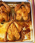 Three roast chickens in a roasting dish