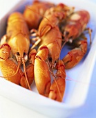 Yabbies, cooked