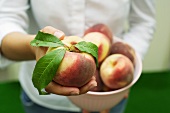 Hand holding a peach with leaves