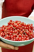 Hands holding a bowl of fresh redcurrants