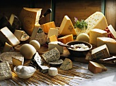 Cheeses from various European countries