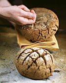 Prüfen ob das Brot ausreichend lang gebacken ist (Klopftest)