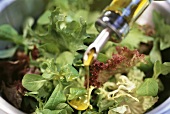 Drizzling mixed salad leaves with olive oil