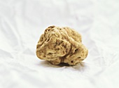 White truffle