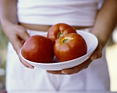 Hände halten Schale mit Tomaten