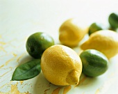 Still life with lemons and limes