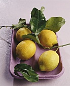 Four lemons with leaves