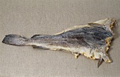 Stockfish