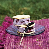 Blueberry ice cream sandwiches