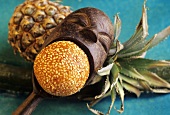 Still life: sesame ball, wooden spoon & pineapple (Indonesia)