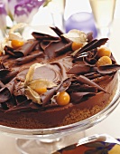 Chocolate cake with Physalis