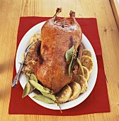 Martinmas goose with bread dumplings and bay leaves