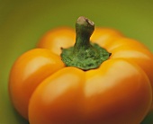 Orange pepper (close-up)