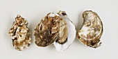 Three oysters