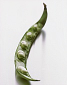 Green beans in opened pod