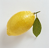 Eine Zitrone mit Blatt