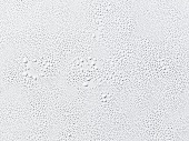 Drops of water on white background