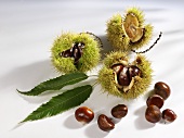 Sweet chestnuts with shell and leaves