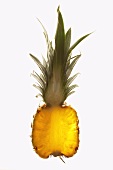 A slice of baby pineapple, backlit