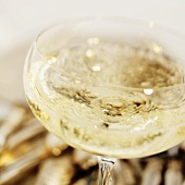 Full champagne glass