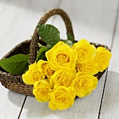 Gelbe Rosen in einem Korb