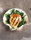 Scallop with spinach