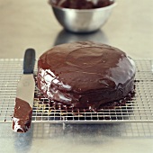 Chocolate cake on cake rack