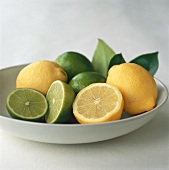 Still life with lemons and limes