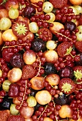 Assorted berries and cherries with drops of water