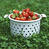 Frisch gepflückte Erdbeeren