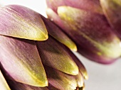 Close-up of two artichokes