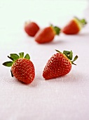 Strawberries on pink background