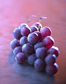 Rote Weintrauben am Zweig
