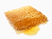 A piece of honeycomb with white background