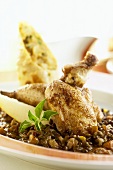 Braised poussin on lentils