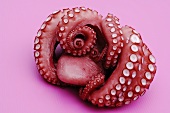 Cooked octopus on pink background