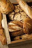 Various types of bread in a drawer