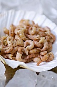 Shrimps, cooked and peeled
