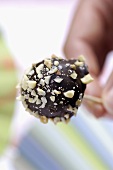 Small ball of chocolate-coated ice cream