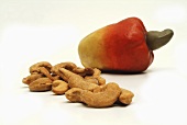 Cashew apple with cashew nuts