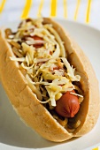 A hot dog with onions, ketchup, mustard and cheese