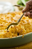 Nudel-Käse-Gratin