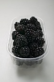 Fresh blackberries in a plastic punnet